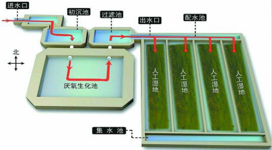 人工湿地原理图片